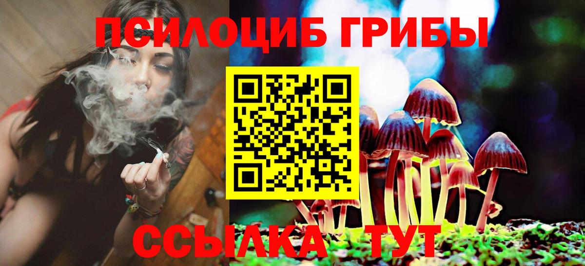 Павлово  Псилоцибиновые грибы ЛСД  Вход с VPN 